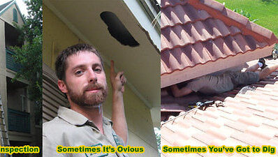rat inspection